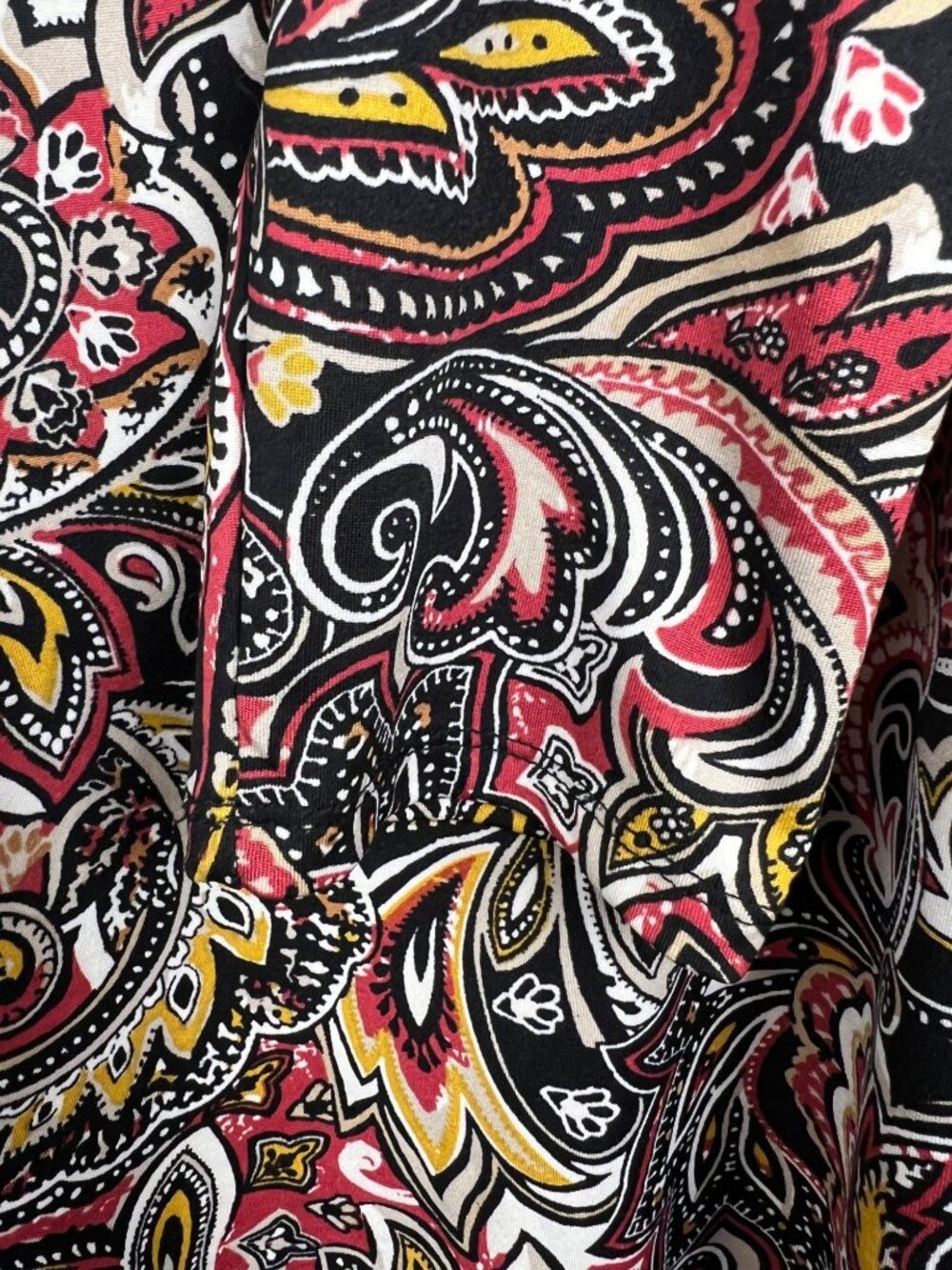Carol Rose Floral Paisley Dress - Picture 3 of 9